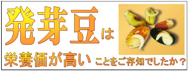 レギュラー豆元説明１